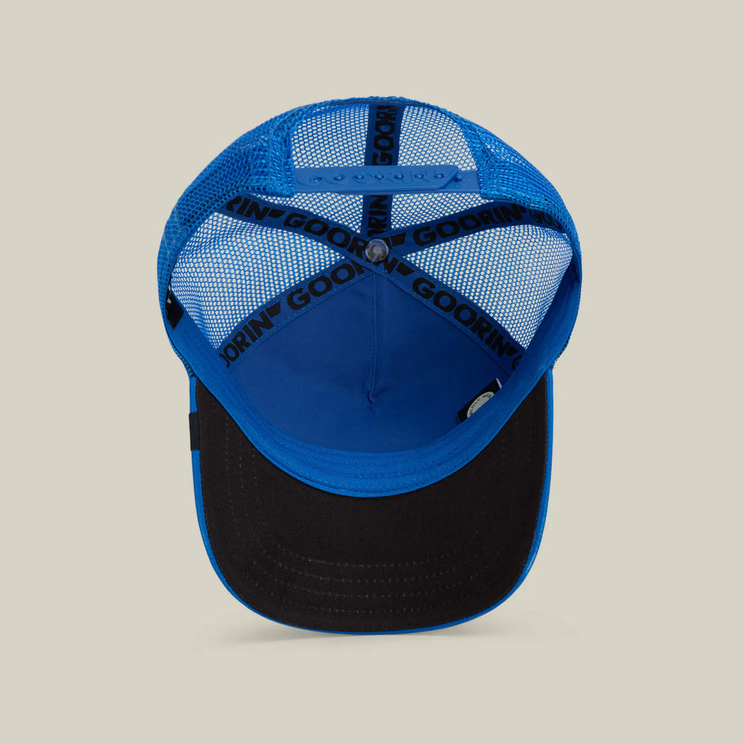 HOLLYWOOD ROOSTER HAT (ROYAL) - GOORIN BROS