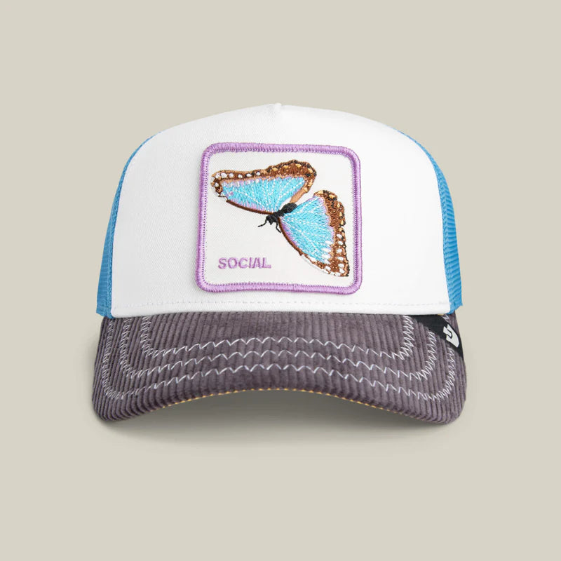 SOCIAL BUTTERFLY HAT (MULTI) - GOORIN BROS