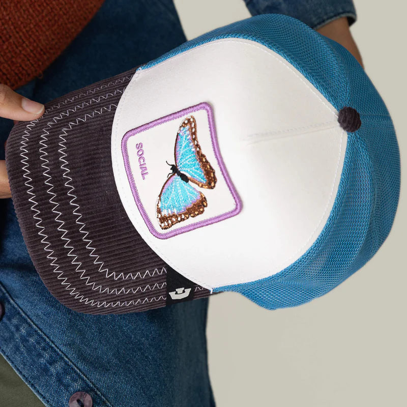 SOCIAL BUTTERFLY HAT (MULTI) - GOORIN BROS