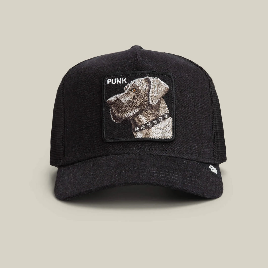 PUNK DAWG HAT (BLACK) - GOORIN BORTHERS