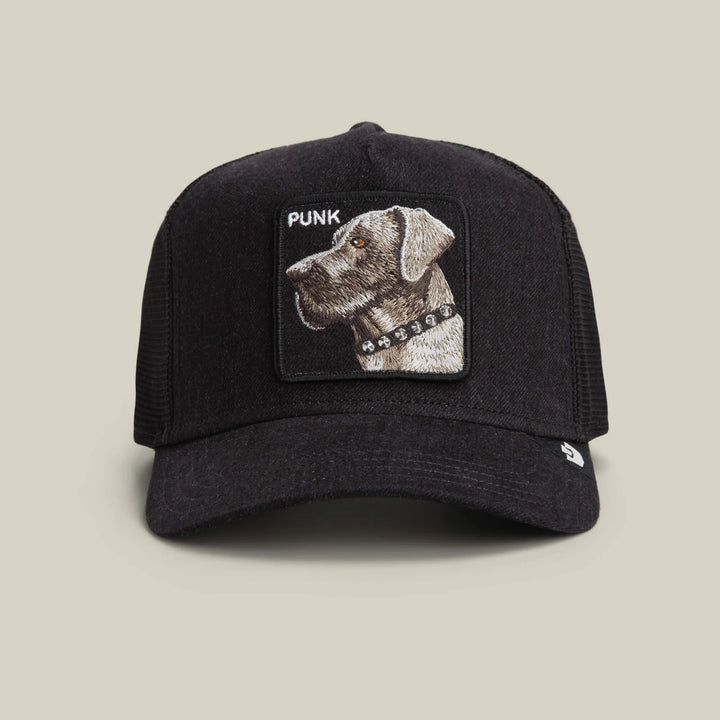 PUNK DAWG HAT (BLACK) - GOORIN BORTHERS