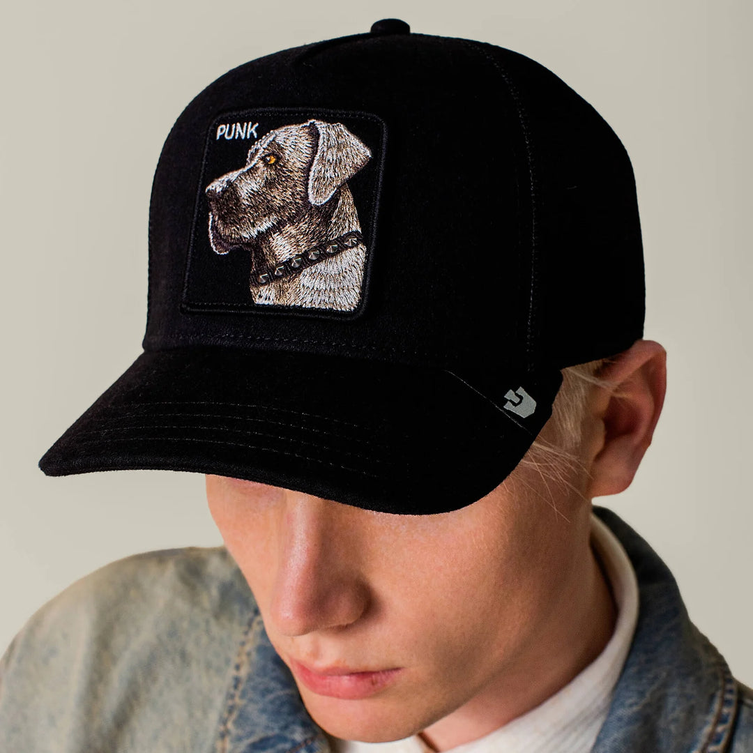 PUNK DAWG HAT (BLACK) - GOORIN BORTHERS