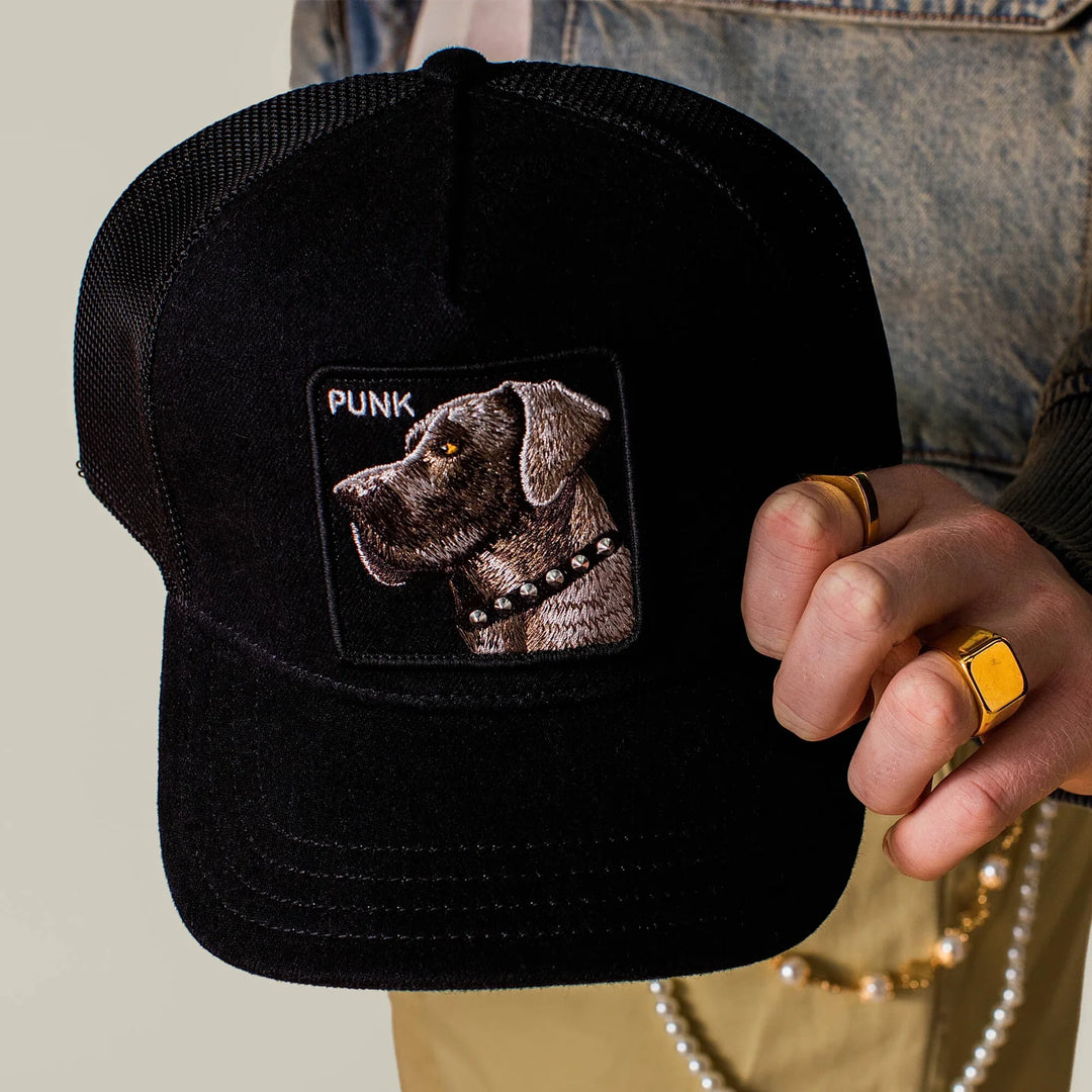 PUNK DAWG HAT (BLACK) - GOORIN BORTHERS