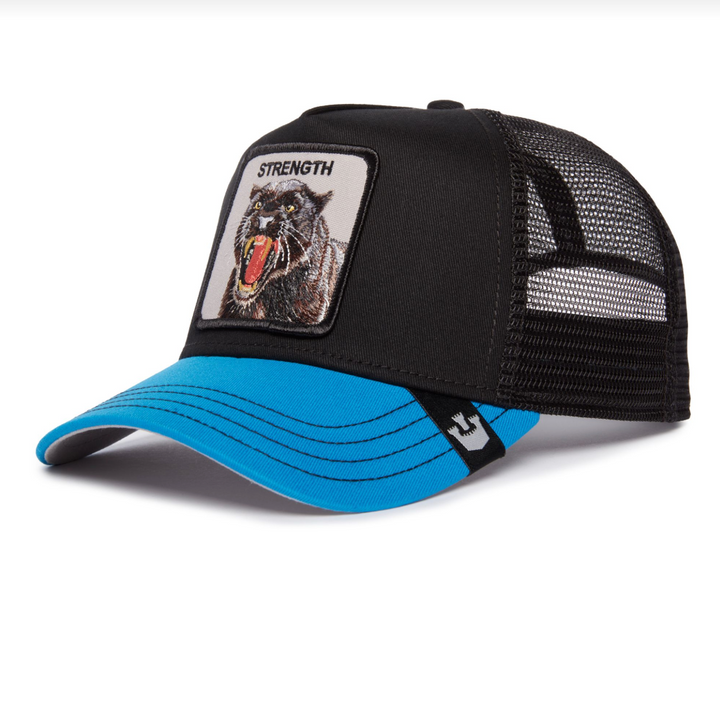 PANTHER FAN HAT (BLACK) - GOORIN BROS